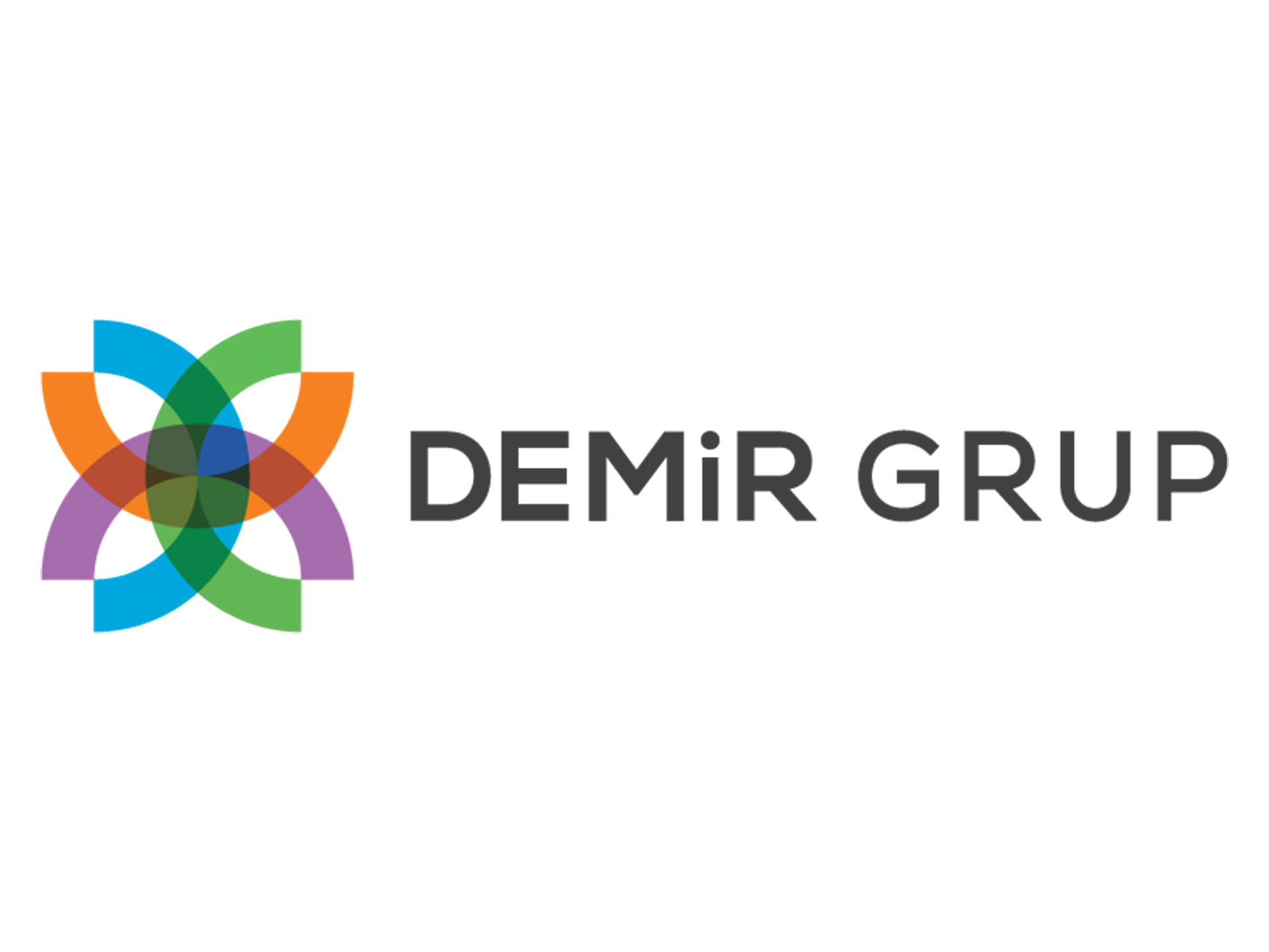 DEMİR GRUP